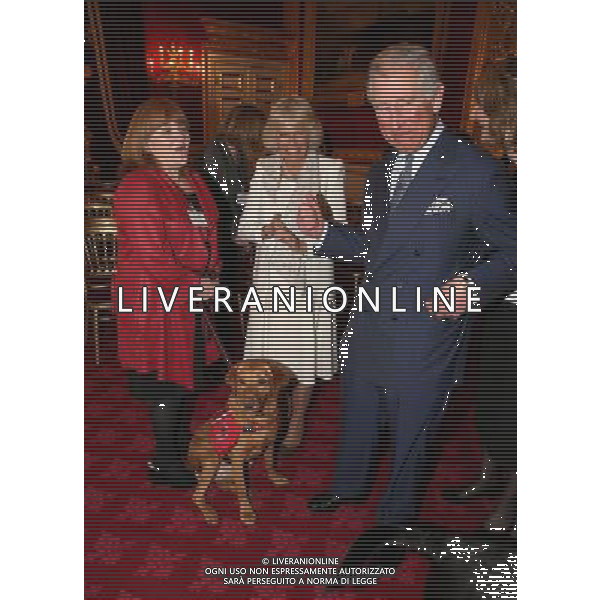 LONDON, ENGLAND - MARCH 11: Downtown Abbey actress Lesley Nicol shares holds on to Medical Detection Dog as she laughs with Prince Charles, Prince of Wales and Camilla, Duchess of Cornwall during a demonstration by medical dogs at St James\'s Palace on March 11, 2014 in London, England. ©photoshot/AGENZIA ALDO LIVERANI SAS - ITALY ONLY - REALI INGLESI: Il Principe Carlo e Camilla Duchessa di Cornovaglia durante una dimostrazione di cani rilevazione mediche a Palazzo San Giacomo il 11 Marzo 2014 a Londra, Inghilterra. 