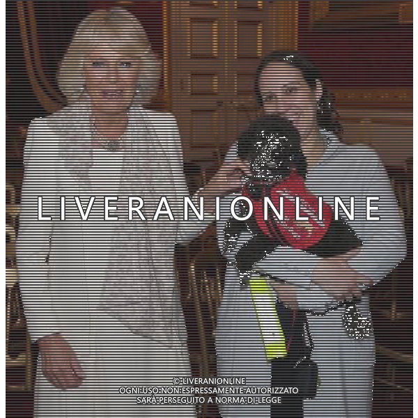 LONDON, ENGLAND - MARCH 11: Camilla, Duchess of Cornwall meets Medical Detection Dog Nano and her owner Yasmine Tomblad (who has a peanut allergy) at a Medical Detection Dog Reception at James\'s Palace on March 11, 2014 in London, England. ©photoshot/AGENZIA ALDO LIVERANI SAS - ITALY ONLY - REALI INGLESI: Il Principe Carlo e Camilla Duchessa di Cornovaglia durante una dimostrazione di cani rilevazione mediche a Palazzo San Giacomo il 11 Marzo 2014 a Londra, Inghilterra. 