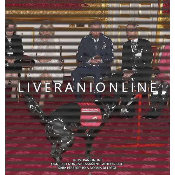 LONDON, ENGLAND - MARCH 11: Prince Charles, Prince of Wales and Camilla, Duchess of Cornwall watch a demonstration by Medical Detection Dogs at St James\'s Palace on March 11, 2014 in London, England. ©photoshot/AGENZIA ALDO LIVERANI SAS - ITALY ONLY - REALI INGLESI: Il Principe Carlo e Camilla Duchessa di Cornovaglia durante una dimostrazione di cani rilevazione mediche a Palazzo San Giacomo il 11 Marzo 2014 a Londra, Inghilterra. 