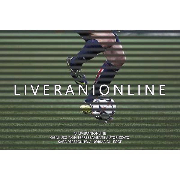 Illustration Zlatan IBRAHIMOVIC - 12.03.2014 - Paris Saint Germain / Bayer Leverkusen - 1/8Finale Retour Champions League Photo : Johnny Fidelin / Icon Sport AG ALDO LIVERANI SAS ONLY ITALY