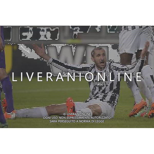 Juventus - Fiorentina Uefa Europa League - Ottavi di finale 13-03-2014 Federico Tardito/Agenzia Aldo Liverani Sas Nella foto Chiellini