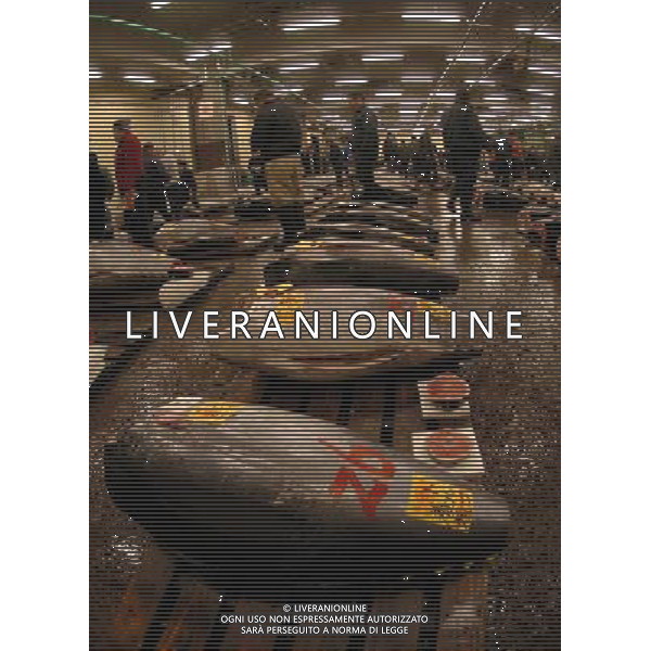 Tokio (Jappone) 2003/04 nella foto Mercato del pesce ph marco luzzani/ag aldo liverani s.a.s.