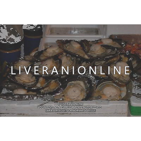 Tokio (Jappone) 2003/04 nella foto Mercato del pesce ph marco luzzani/ag aldo liverani s.a.s.
