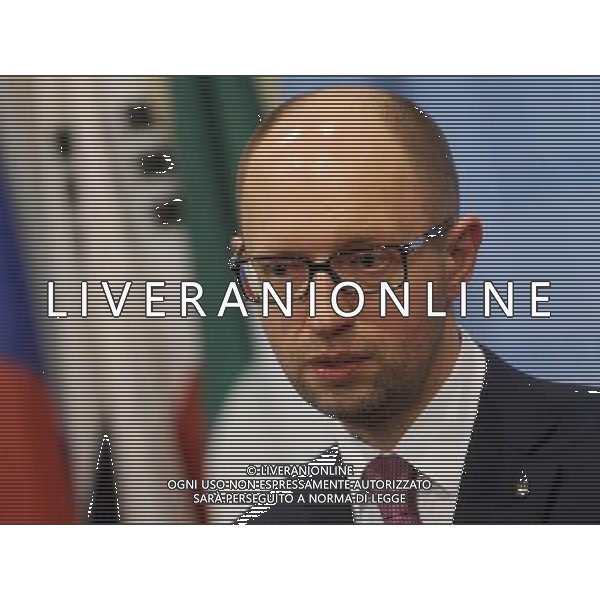 Ukrainian Prime Minister Arseniy Yatsenyuk at the UN headquarters in New York, on March 13, 2014 ©photoshot/AGENZIA ALDO LIVERANI SAS - ITALY ONLY - Il primo ministro ucraino Arseniy Yatsenyuk alla riunione del Consiglio di Sicurezza delle Nazioni Unite sullo status dell\'Ucraina, nella sede delle Nazioni Unite a New York, il 13 marzo 2014.
