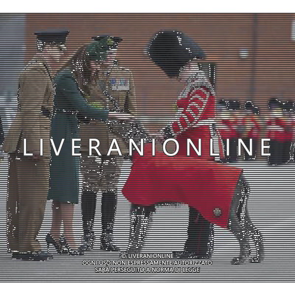 The Duke and Duchess of Cambridge visit the 1st Battalion Irish Guards at the St. Patricks Day Parade at Mons Barracks Aldershot. Monday 17th March 2014 ©photohsot/AGENZIA ALDO LIVERANI SAS - ITALY ONLY - REALI INGLESI: Il Principe William e Kate Middleton Duchessa di Cambridge visitano il 1mo Battaglione delle Guardie Irlandesi presso il St. Patricks Day Parade a Mons Barracks Aldershot 17 Marzo, 2014