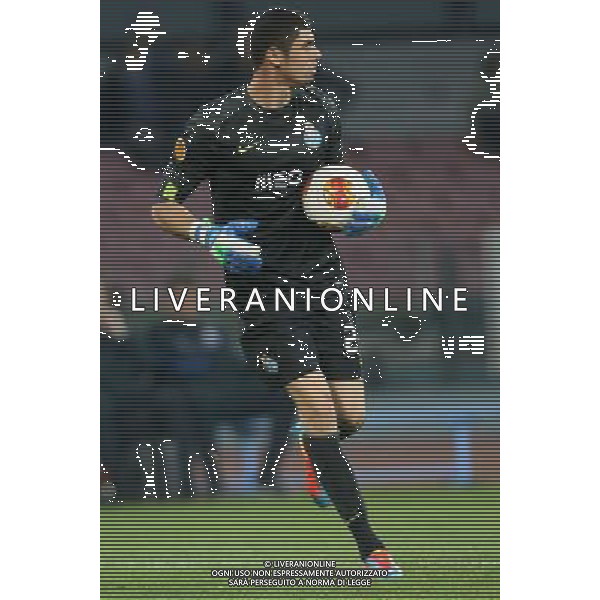 FOOTBALL CLUB PORTO NELLA FOTO: FABIANO FOTO MOSCA- AG.LIVERANI NAPOLI PORTO EUROPA LEAGUE 201-03-2014