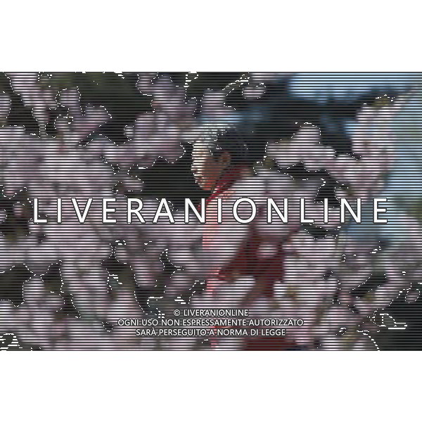 (140321) -- BEIJING, March 21, 2014 () -- An old woman walks past cherry blossoms at Yuyuantan Park in Beijing, capital of China, March 21, 2014. (/Li Jundong) (ry) ©photoshot/AGENZIA ALDO LIVERANI SAS - ITALY ONLY - Alberi di ciliegio in fiore