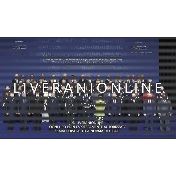 (140325) -- THE HAGUE, March 25, 2014 () -- Chinese President Xi Jinping (4th L, front) poses for a group photo during the third Nuclear Security Summit in The Hague, the Netherlands, March 25, 2014. (/Zhang Duo) (yxb) AG ALDO LIVERANI SAS ONLY ITALY