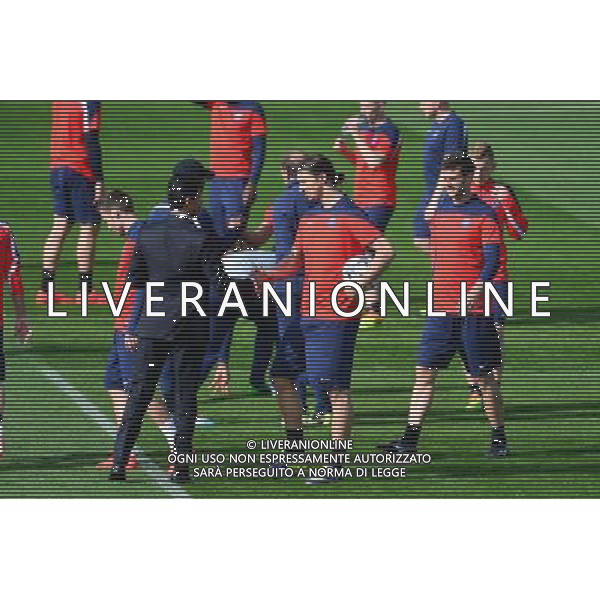 Nasser AL KHELAIFI / Zlatan IBRAHIMOVIC - 01.04.2014 - Entrainement du Paris Saint Germain avant le match de Champions League Photo : Dave Winter / Icon Sport ag aldo liverani sas only italy *** Local Caption ***