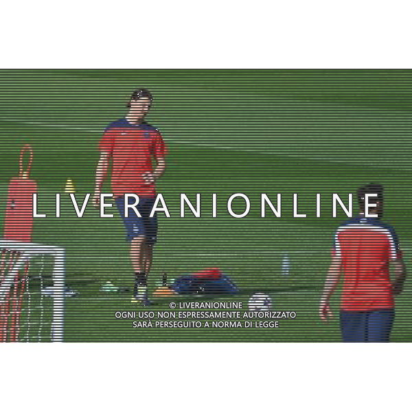 Zlatan IBRAHIMOVIC - 01.04.2014 - Entrainement du Paris Saint Germain avant le match de Champions League Photo : Dave Winter / Icon Sport ag aldo liverani sas only italy *** Local Caption ***