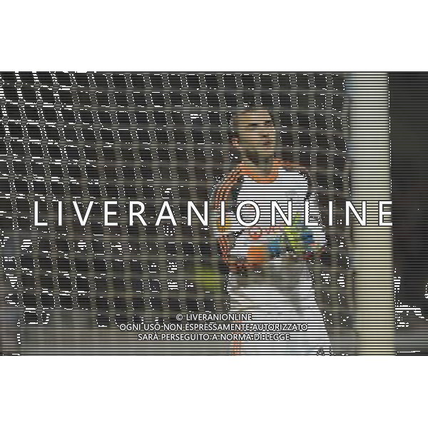 Anthony LOPES - 03.02.2014 - Lyon / Juventus Turin - 1/4Finale Aller Ligue Europa Photo : Jean Paul Thomas / Icon Sport *** Local Caption *** AG ALDOLIVERANI SAS ONLYITALY *** Local Caption ***