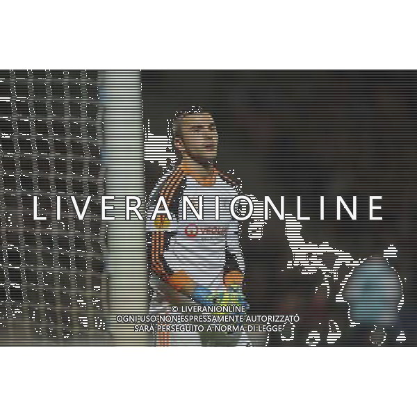 Anthony LOPES - 03.02.2014 - Lyon / Juventus Turin - 1/4Finale Aller Ligue Europa Photo : Jean Paul Thomas / Icon Sport *** Local Caption *** AG ALDOLIVERANI SAS ONLYITALY *** Local Caption ***