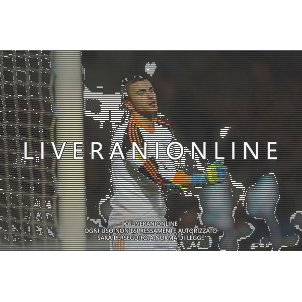 Anthony LOPES - 03.02.2014 - Lyon / Juventus Turin - 1/4Finale Aller Ligue Europa Photo : Jean Paul Thomas / Icon Sport *** Local Caption *** AG ALDOLIVERANI SAS ONLYITALY *** Local Caption ***