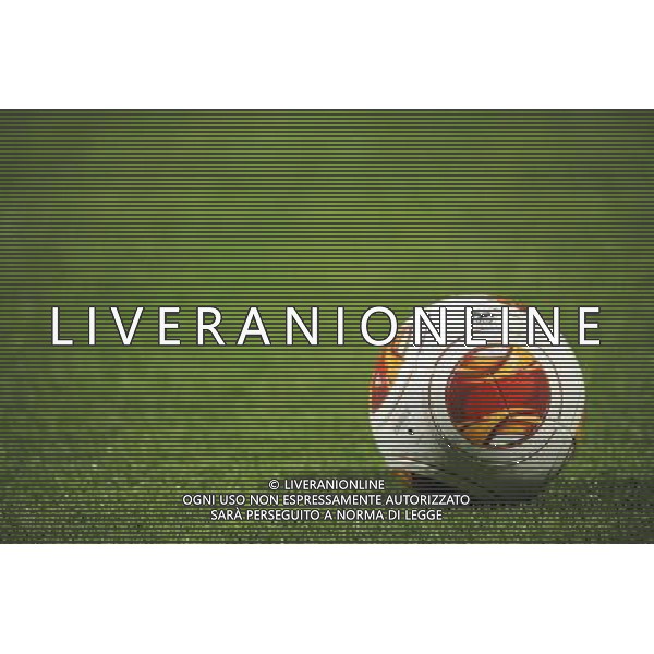 Illustration Ballon - 03.02.2014 - Lyon / Juventus Turin - 1/4Finale Aller Ligue Europa Photo : Jean Paul Thomas / Icon Sport ag aldo liverani sas only italy