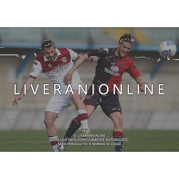 de giosa(reggiana) torregrossa(lumezzane) CALCIO LEGA PRO 1:LUMEZZANE-REGGIANA.lumezzane(Bs) 06/04/2014 ph Fotolive/Guitti Alessio AG ALDO LIVERANI SAS