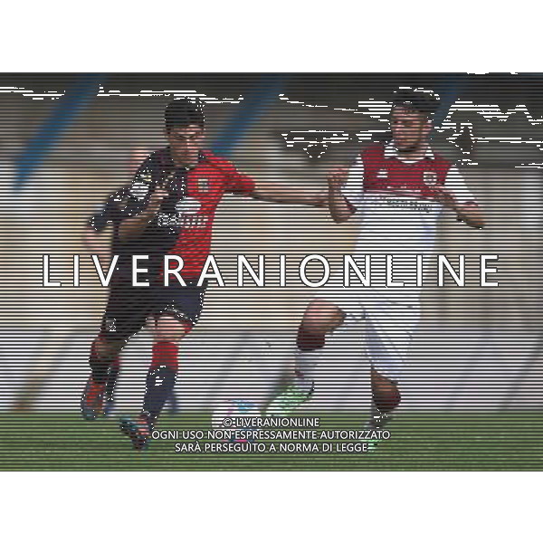 gatto(lumezzane) cavion(reggiana) CALCIO LEGA PRO 1:LUMEZZANE-REGGIANA.lumezzane(Bs) 06/04/2014 ph Fotolive/Guitti Alessio AG ALDO LIVERANI SAS