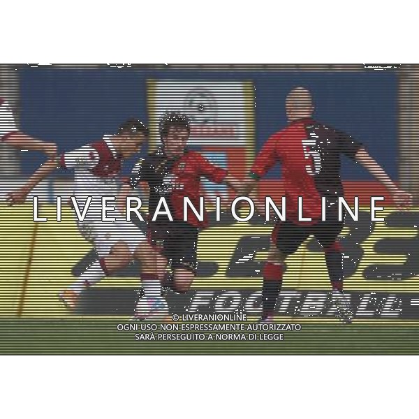 gol reggiana di de silvestri CALCIO LEGA PRO 1:LUMEZZANE-REGGIANA.lumezzane(Bs) 06/04/2014 ph Fotolive/Guitti Alessio AG ALDO LIVERANI SAS
