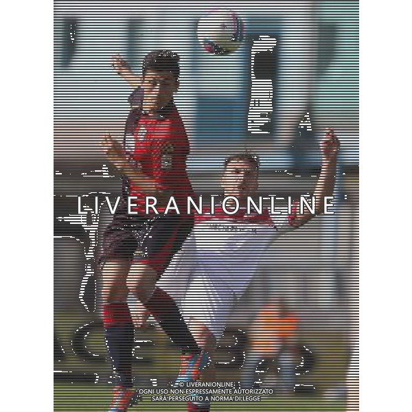 gatto(lumezzane) CALCIO LEGA PRO 1:LUMEZZANE-REGGIANA.lumezzane(Bs) 06/04/2014 ph Fotolive/Guitti Alessio AG ALDO LIVERANI SAS