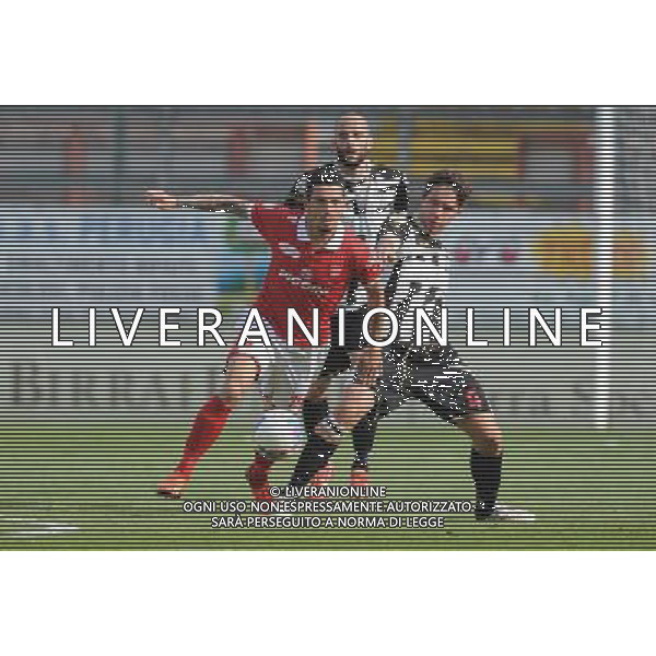 PERUGIA VIAREGGIO LEGA PRO 06-04-2014 NELLA FOTO CARCIONE DELLA LATTA FOTO SETTONCE ROBERTO-AG ALDOL IVERANI SAS