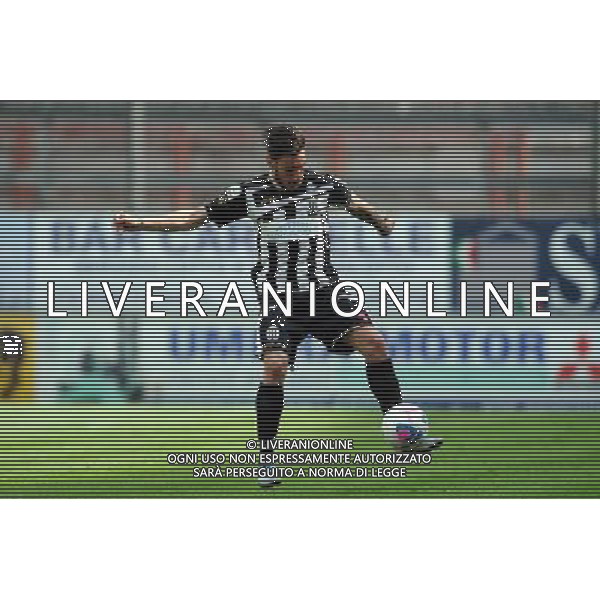 PERUGIA VIAREGGIO LEGA PRO 06-04-2014 NELLA FOTO FALASCO NICOLA FOTO SETTONCE ROBERTO-AG ALDOL IVERANI SAS