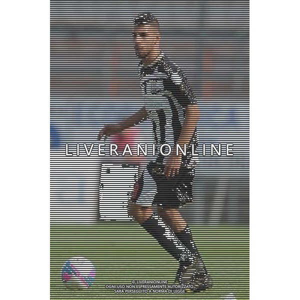 PERUGIA VIAREGGIO LEGA PRO 06-04-2014 NELLA FOTO GALASSI LORENZO FOTO SETTONCE ROBERTO-AG ALDOL IVERANI SAS