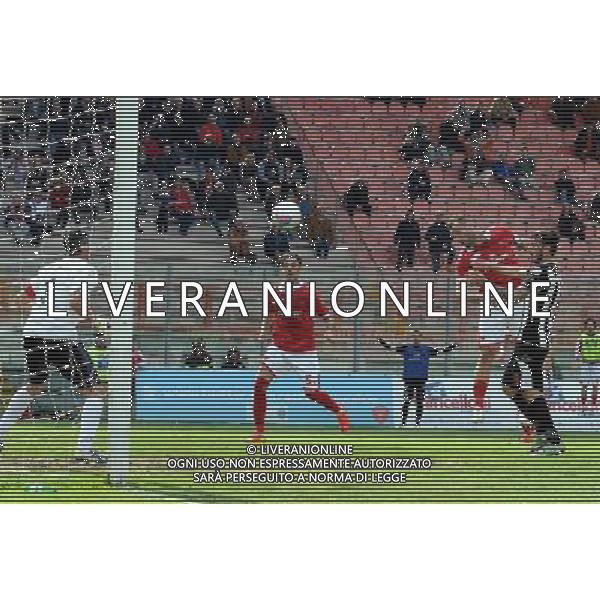 PERUGIA VIAREGGIO LEGA PRO 06-04-2014 NELLA FOTO GOL SCOGNAMIGLIO FOTO SETTONCE ROBERTO-AG ALDOL IVERANI SAS
