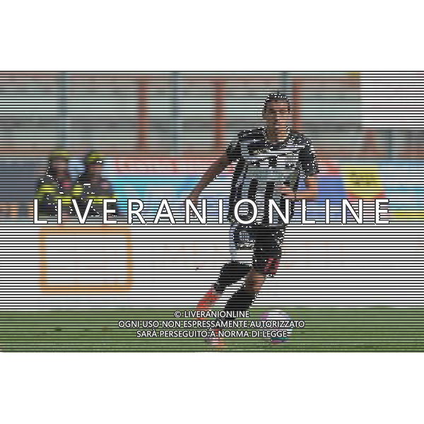 PERUGIA VIAREGGIO LEGA PRO 06-04-2014 NELLA FOTO LAMONTE FABIO FOTO SETTONCE ROBERTO-AG ALDOL IVERANI SAS