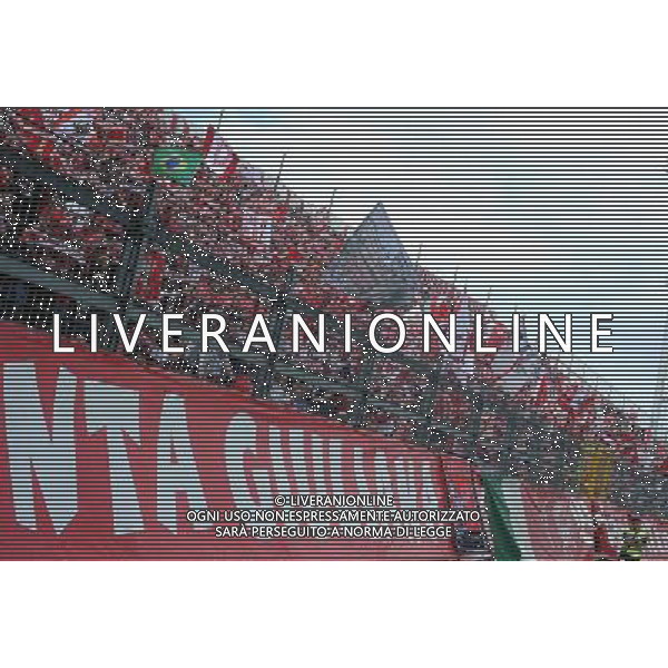 PERUGIA VIAREGGIO LEGA PRO 06-04-2014 NELLA FOTO TIFOSI PERUGIA FOTO SETTONCE ROBERTO-AG ALDOL IVERANI SAS