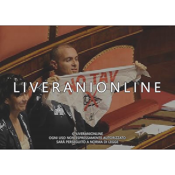 Roma - 09/04/2014 - Senato - Palazzo Madama - Ratifica ed esecuzione dell\'Accordo tra il Governo della Repubblica italiana e il Governo della Repubblica francese per la realizzazione e l\'esercizio di una nuova linea ferroviaria Torino-Lione - nella foto: Senatori del M5S espongono cartelli NO TAV / Ph. Fabrizio Corradetti - ag. Aldo Liverani Sas