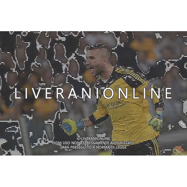 Juventus - Olympic Lyon Uefa Europa League - Quarti di Finale 10-04-2014 Federico Tardito/Agenzia Aldo Liverani Sas Nella foto Lopes esulta JUVENTUS - LIONE Uefa Europa League - Quarti di Finale 10-04-2014 ©TARDITO/AGENZIA ALDO LIVERANI SAS