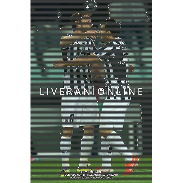 2014 Â© Matteo Bottanelli - Turin 13/03/14 - Football - Uefa Europa League - Quarter Final - Juventus Olympique Lyonnais - shown in the picture: goal Claudio Marchisio