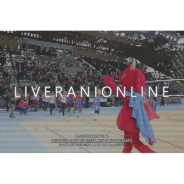 Illustration Entree des Joueurs - 11.04.2014 - Ajaccio / Beauvais - 1/4Finale Aller Playoff Ligue A - Photo : Jean Pierre Belzit / Icon Sport AG ALDO LIVERANI SAS ONLY ITALY *** Local Caption ***