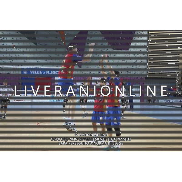 Joie Ajaccio - 11.04.2014 - Ajaccio / Beauvais - 1/4Finale Aller Playoff Ligue A - Photo : Jean Pierre Belzit / Icon Sport AG ALDO LIVERANI SAS ONLY ITALY *** Local Caption ***