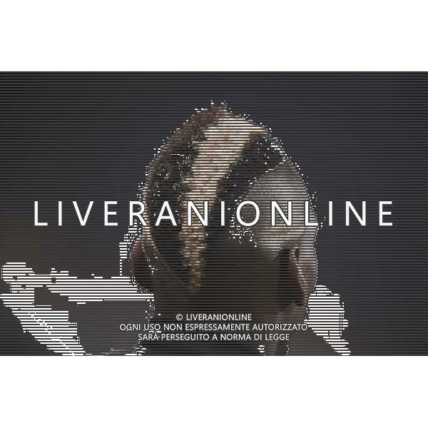 Juventus - Olympic Lyon Uefa Europa League - Quarti di Finale 10-04-2014 Federico Tardito/Agenzia Aldo Liverani Sas Nella foto Pogba