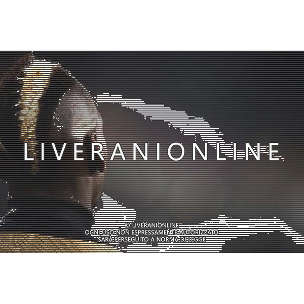 Juventus - Olympic Lyon Uefa Europa League - Quarti di Finale 10-04-2014 Federico Tardito/Agenzia Aldo Liverani Sas Nella foto Pogba