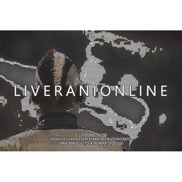 Juventus - Olympic Lyon Uefa Europa League - Quarti di Finale 10-04-2014 Federico Tardito/Agenzia Aldo Liverani Sas Nella foto Pogba