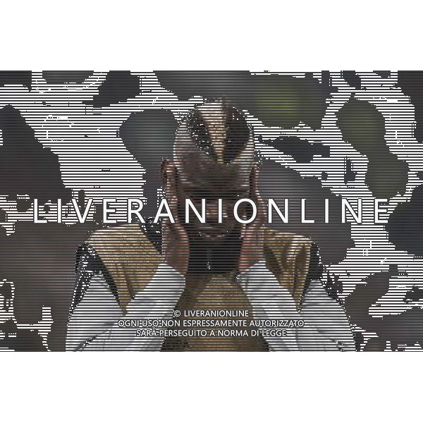 Juventus - Olympic Lyon Uefa Europa League - Quarti di Finale 10-04-2014 Federico Tardito/Agenzia Aldo Liverani Sas Nella foto Pogba