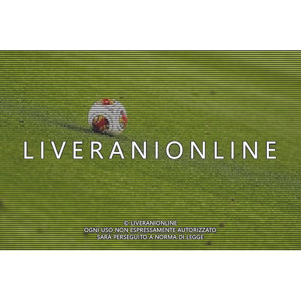 Juventus - Olympic Lyon Uefa Europa League - Quarti di Finale 10-04-2014 Federico Tardito/Agenzia Aldo Liverani Sas Nella foto pallone Europa league