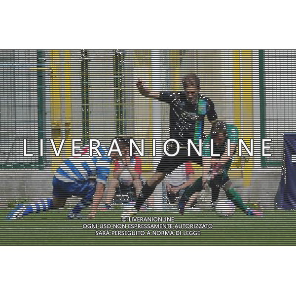 Busto Arsizio (VA) 13-04-2014 Stadio Carlo Speroni Campionato Lega PRO Prima Divisione girone A - 28å¡ giornata Pro Patria - FeralpiSalo\' nella foto Feola ferma Miracoli lanciato a rete foto Roberto Garavaglia - ag. Aldo Liverani sas