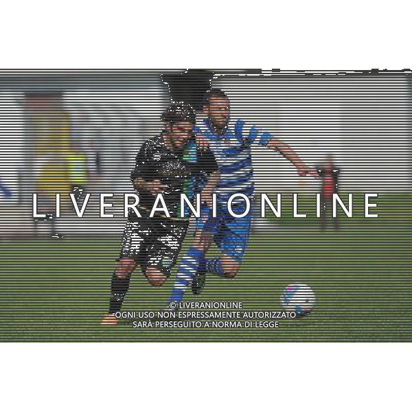 Busto Arsizio (VA) 13-04-2014 Stadio Carlo Speroni Campionato Lega PRO Prima Divisione girone A - 28å¡ giornata Pro Patria - FeralpiSalo\' nella foto Ceccarelli SX e Siega foto Roberto Garavaglia - ag. Aldo Liverani sas
