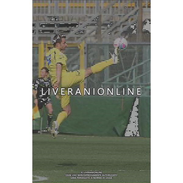 bergamo, stadio atleti azzurri d\'italia, 13 APRILE 2014, nella foto MARCO CELLINI ,ph.moro/ALDO LIVERANI ALBINOLEFFE VS CARRARESE LEGA PRO 13 APRILE 2014 ©/AGENZIA ALDO LIVERANI SAS