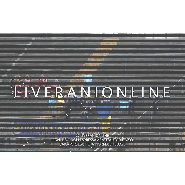 bergamo, stadio atleti azzurri d\'italia, 13 APRILE 2014, nella foto TIFOSI CARRARESE ,ph.moro/ALDO LIVERANI ALBINOLEFFE VS CARRARESE LEGA PRO 13 APRILE 2014 ©/AGENZIA ALDO LIVERANI SAS