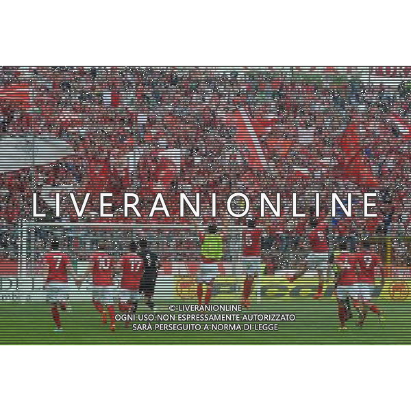 Perugia - Pontedera Campionato lega Pro 13 aprile 2014 nella foto i tifosi del perugia in curva a nord esultano a fine gara ©Settonce/AGENZIA ALDO LIVERANI SAS