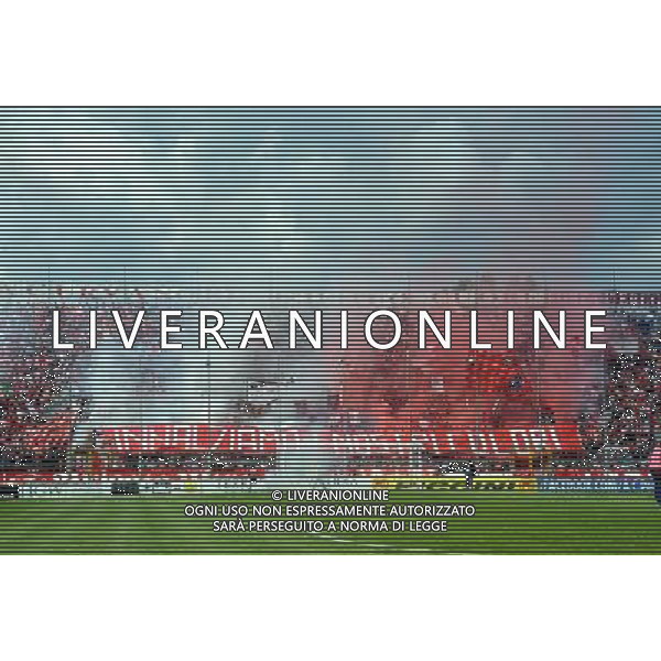 Perugia - Pontedera Campionato lega Pro 13 aprile 2014 nella foto i tifosi del perugia in curva a nord ©Settonce/AGENZIA ALDO LIVERANI SAS