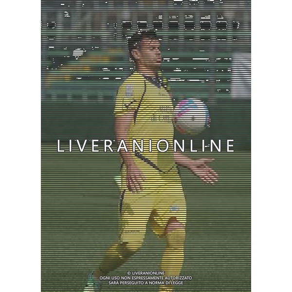 nella foto TESO DARIO ,ph.moro/ALDO LIVERANI ALBINO LEFFE CARRARESE LEGA PRO 13-04-2014