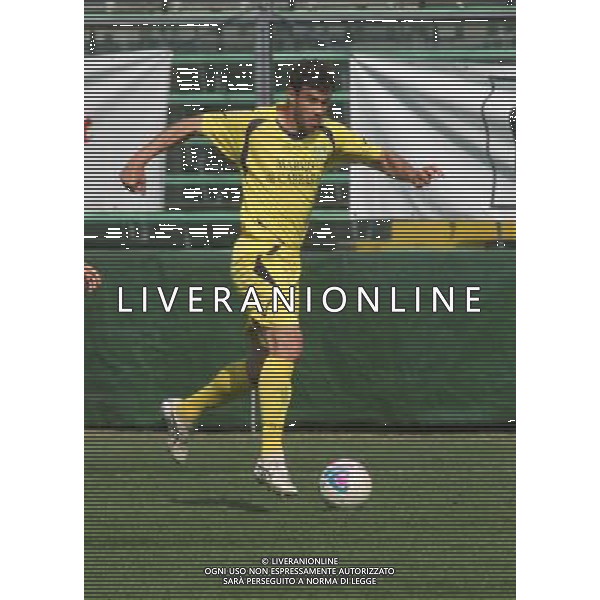nella foto GORZEGNO MARCO ,ph.moro/ALDO LIVERANI ALBINO LEFFE CARRARESE LEGA PRO 13-04-2014