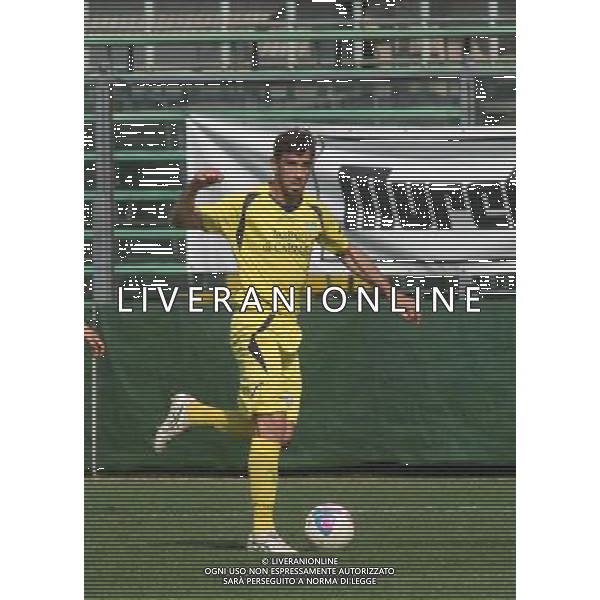 nella foto GORZEGNO MARCO ,ph.moro/ALDO LIVERANI ALBINO LEFFE CARRARESE LEGA PRO 13-04-2014