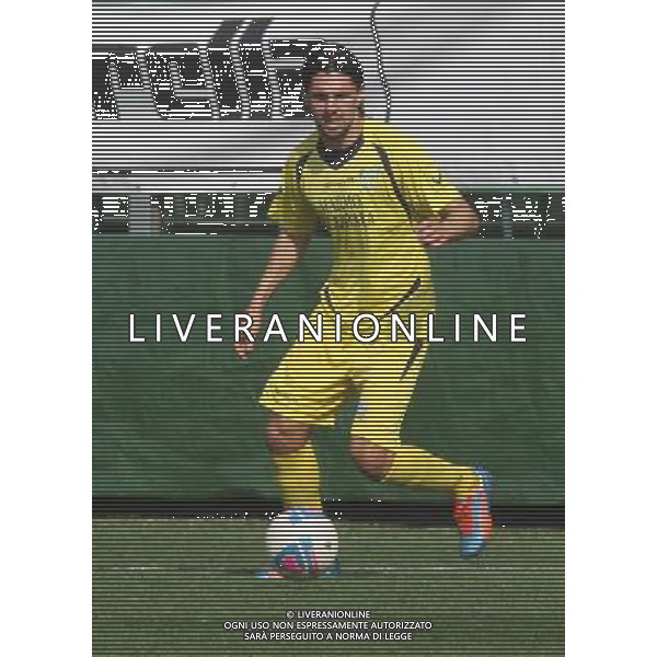 nella foto VANNUCCI DIEGO ,ph.moro/ALDO LIVERANI ALBINO LEFFE CARRARESE LEGA PRO 13-04-2014