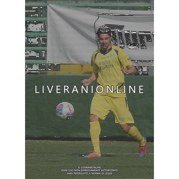 nella foto VANNUCCI DIEGO ,ph.moro/ALDO LIVERANI ALBINO LEFFE CARRARESE LEGA PRO 13-04-2014
