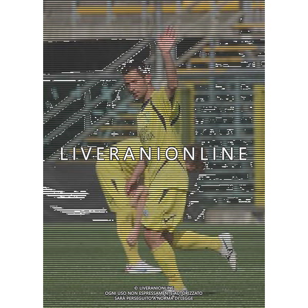 nella foto CELLINI MARCO ,ph.moro/ALDO LIVERANI ALBINO LEFFE CARRARESE LEGA PRO 13-04-2014